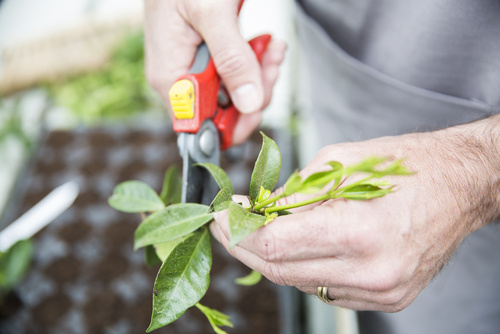 Réorientation professionnelle métiers en lien avec l'ancien