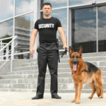 Agente appendi CV Agente cane di sicurezza
