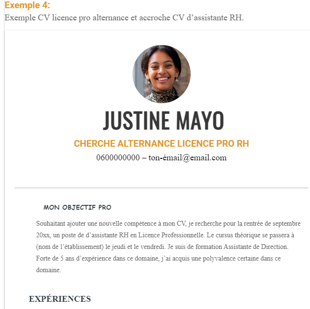 Exemple CV licence pro