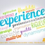 Synonymes expérience professionnelle