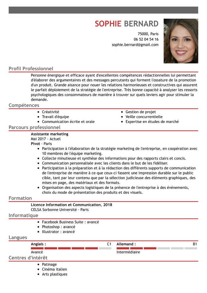 Exemple de CV Agent(e) artistique et objectifs de carrière