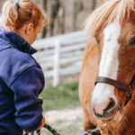 Comment Devenir Soigneur / Soigneuse de chevaux