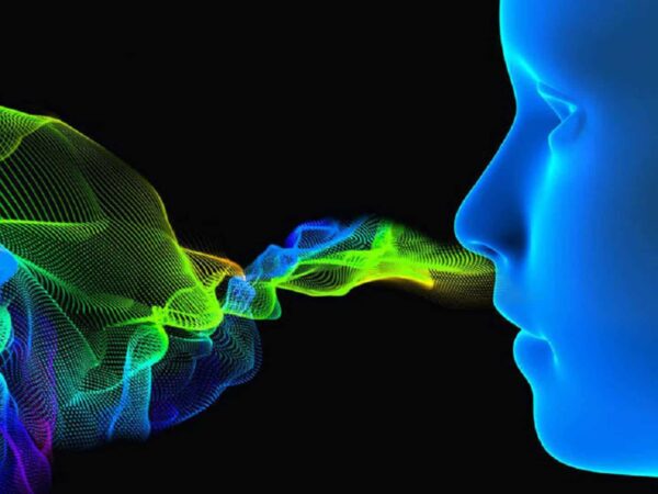 Les odeurs pourraient influencer la manière dont nous vieillissons…