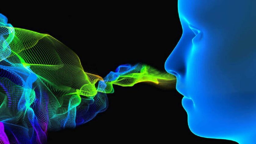 Les odeurs pourraient influencer la manière dont nous vieillissons…