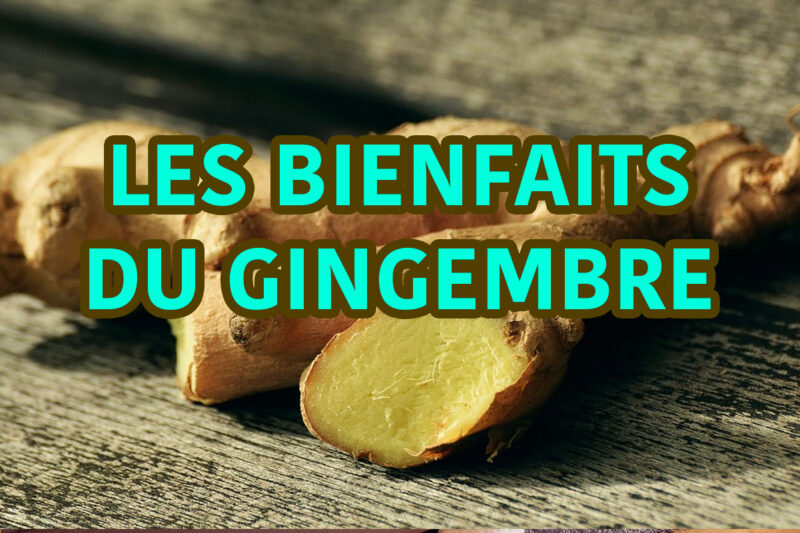 Les bienfaits du gingembre et utilisation pour chaque cas